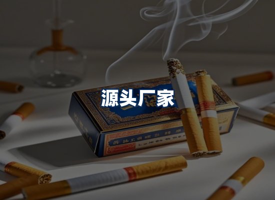 专业团队办公环境